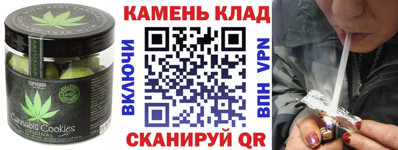 где можно купить наркотик  MEGA ссылка  Canna-Cookies марихуана  Заводоуковск 