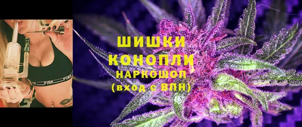 эйфоретик Гусев