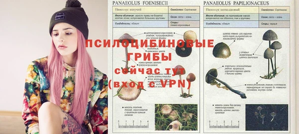 эйфоретик Гусев