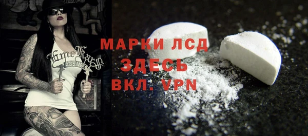 мяу мяу мука Горно-Алтайск