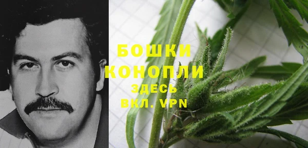 крисы Володарск