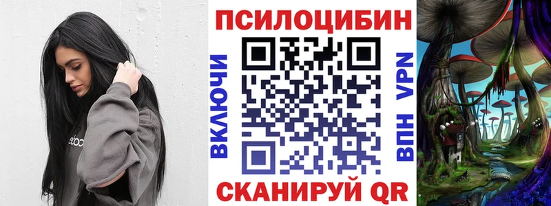 Галлюциногенные грибы прущие грибы  Заводоуковск 